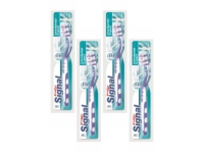 Lidl  Signal Zahnburste Interdental