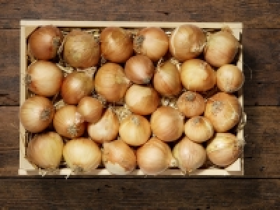Bio Zwiebeln