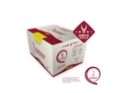 Panini 100er Qatar 2022
