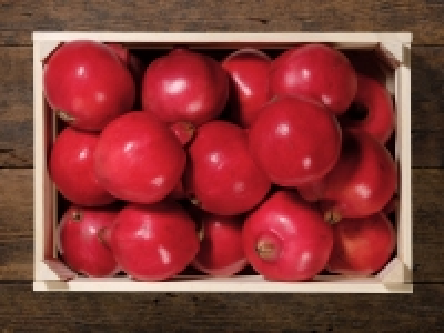 Granatapfel