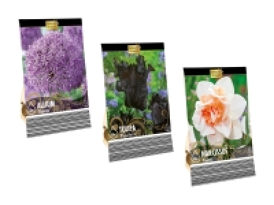 Blumenzwiebeln «Premium» CHF 2.99