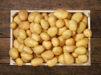 Bio Kartoffeln festkochend CHF 1.49