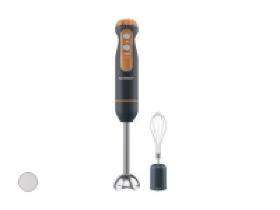 Stabmixer-Set CHF 19.99