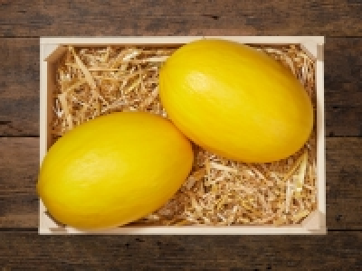 Honigmelone
