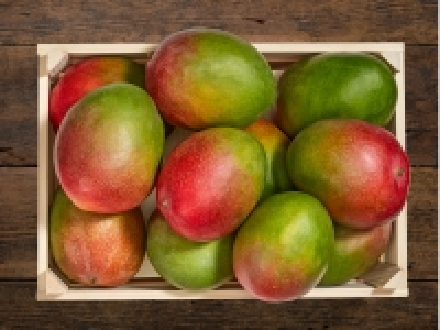 Osteen-Mango (zum tagesaktuellen Lidl-Preis)