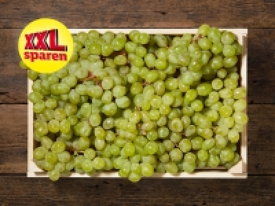 Lidl  Helle Trauben XXL