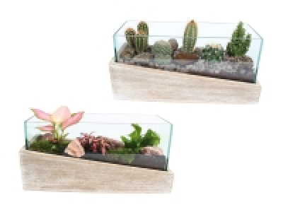 Indoor-Landscape bepflanzt