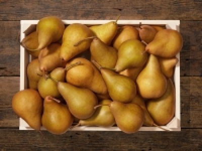 Birnen