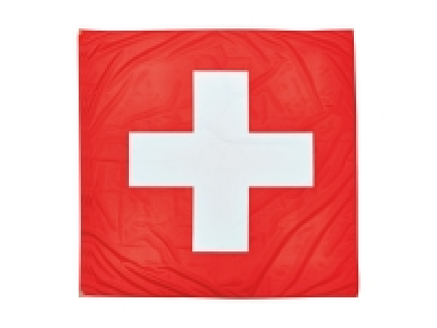 Fahne mit Ösen