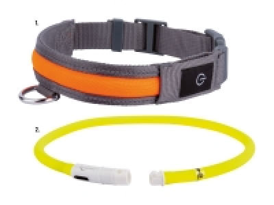 Zoofari LED-Hundehalsband