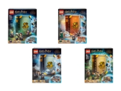 Harry Potter Spielset (nur im Tessin)