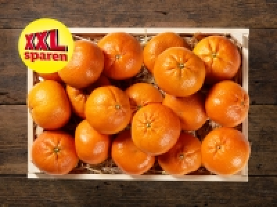 Lidl  Clementinen XXL