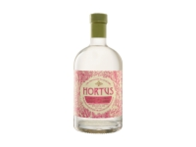 Rhabarber < Ingwer Gin Likör