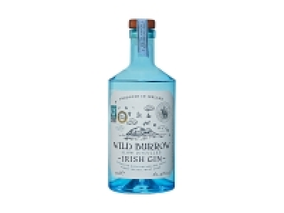 Lidl  Wild Burrow Gin