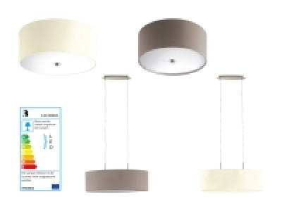 LED-Deckenleuchte (nur in der Westschweiz)