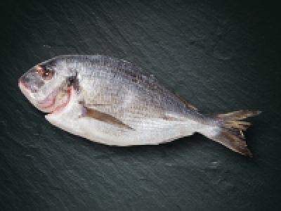 Bio Dorade