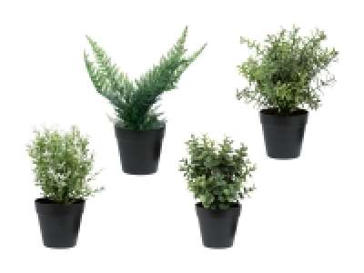 Kunstpflanzen CHF 4.99