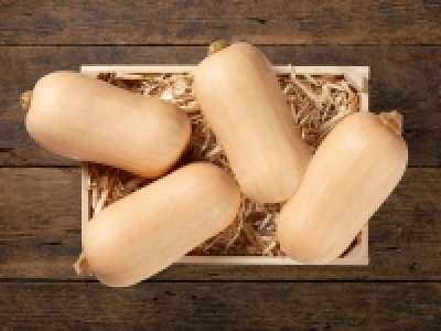 Kürbis Butternuss (mind. -30% auf den aktuellen Tagespreis)