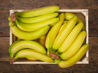 Lidl  Bananen