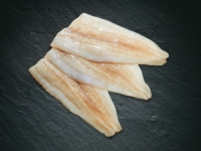 MSC Goldbuttfilet