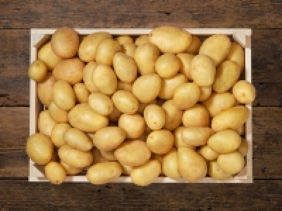 Bio Kartoffeln festkochend CHF 1.59