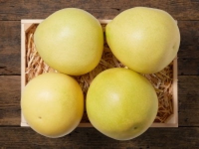 Lidl  Honigpomelo