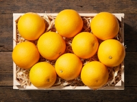Lidl  Bio Orangen (mind. -30% auf den aktuellen Tagespreis)