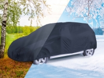 Auto-Vollgarage (nur in der Deutschschweiz)