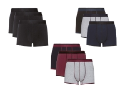 Boxer, 3er CHF 7.99