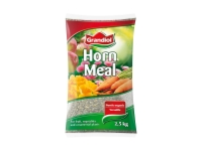 Hornspäne