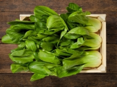 Lidl  Pak Choi