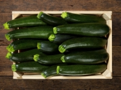 Bio Zucchetti