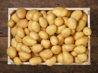 Lidl  Bio Kartoffeln festkochend (mind. -30% auf den aktuellen Tagespreis)