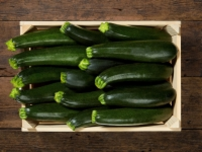 Zucchetti