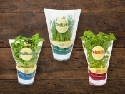 Gartenkräuter