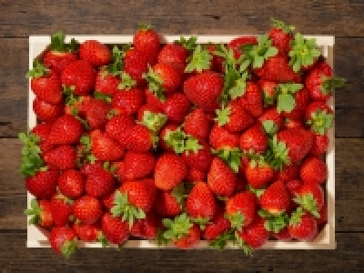 Erdbeeren