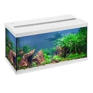 Qualipet  EHEIM Aquarium Aquastar 54 LED weiss