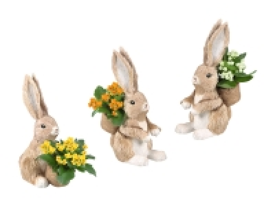 Bepflanzter Osterhase CHF 5.99