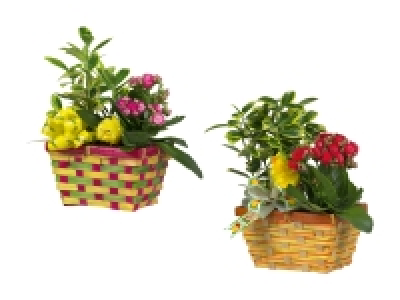 Osterkorb CHF 5.99