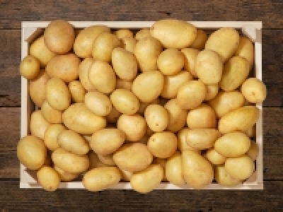 Kartoffeln mehligkochend