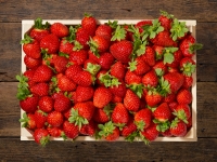 Lidl  Erdbeeren