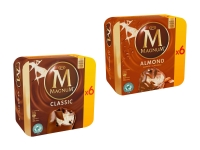 Magnum