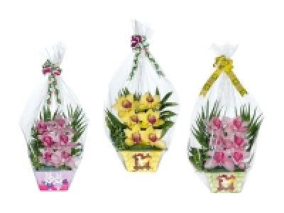 Oster-Orchideengesteck
