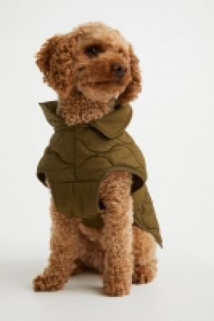 Gesteppte Hundejacke