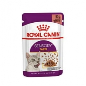 Royal Canin Katze FHN Sensory Taste in Sauce CHF 2.10