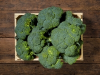 Lidl  Broccoli (mind. -30% auf den aktuellen Tagespreis)