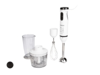 Stabmixer-Set