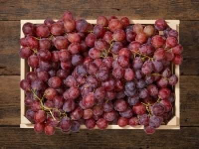 Trauben rot