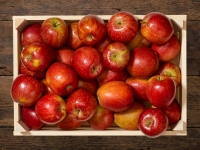 Lidl  Rote Äpfel (mind. -30% auf den aktuellen Tagespreis)