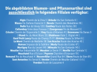 Filialen